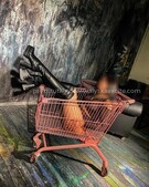 Анкета проститутки Мелисса - метро Марьино, возраст - 19